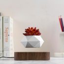 potzi-magnetic-levitating-bonsai-planter-with-rotating-floating-pot-wooden-base-geometric-indoor-decor-for-air-plants-minimalist-homes